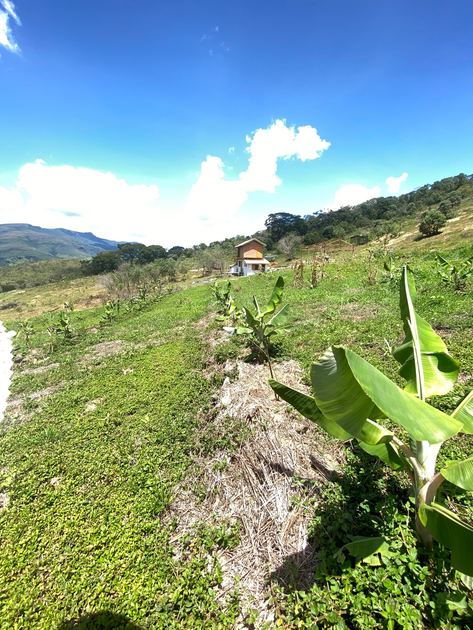 Sítio de 3 ha em Baependi, MG