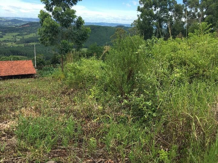 Chácara de 5.300 m² em Rolante, RS