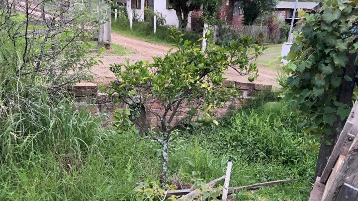 Chácara de 1 ha em Rolante, RS