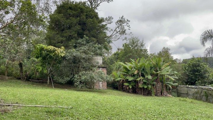 Chácara de 3 ha em Taquara, RS