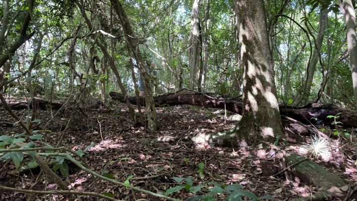 Terreno de 3 ha em Santo Antônio da Patrulha, RS