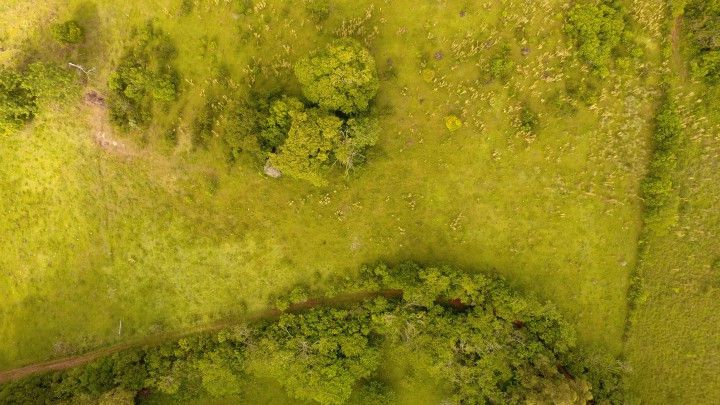 Terreno de 3 ha em Santo Antônio da Patrulha, RS