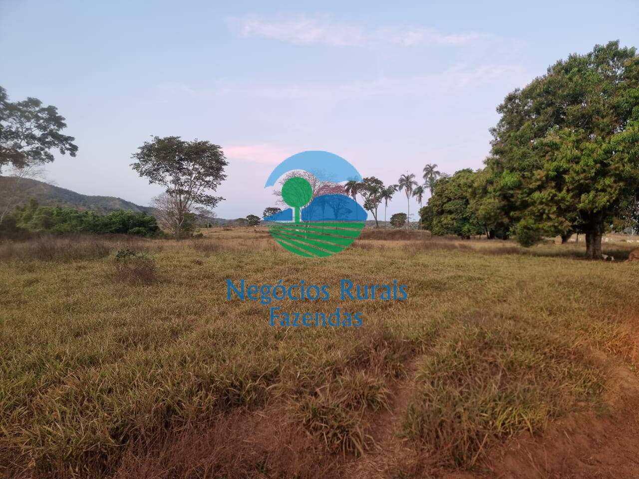 Fazenda de 1.210 ha em Campinaçu, GO