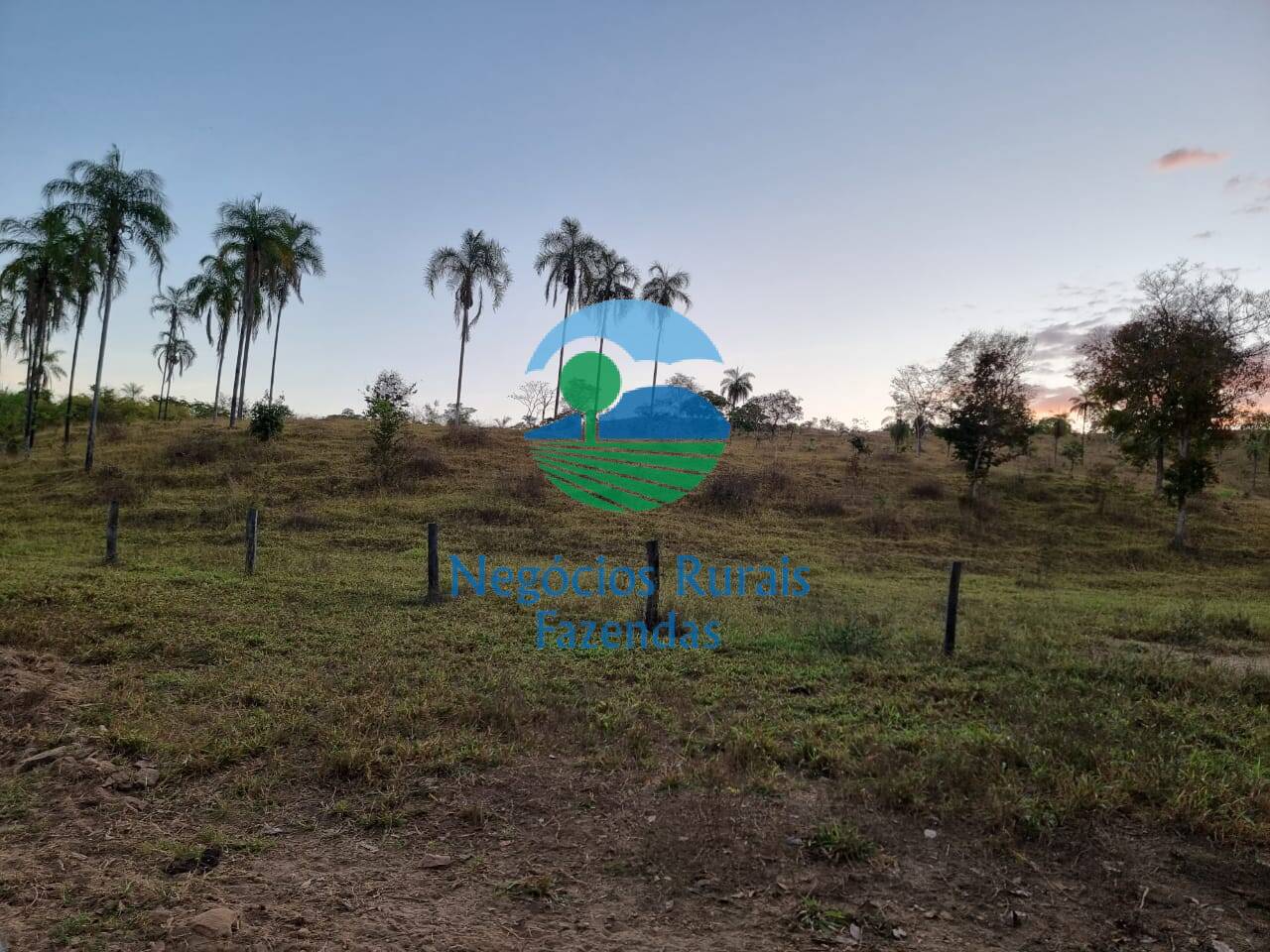 Fazenda de 1.210 ha em Campinaçu, GO