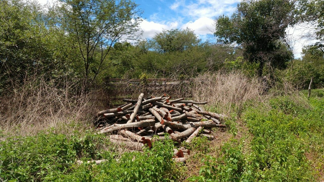 Fazenda de 137 ha em Ibotirama, BA