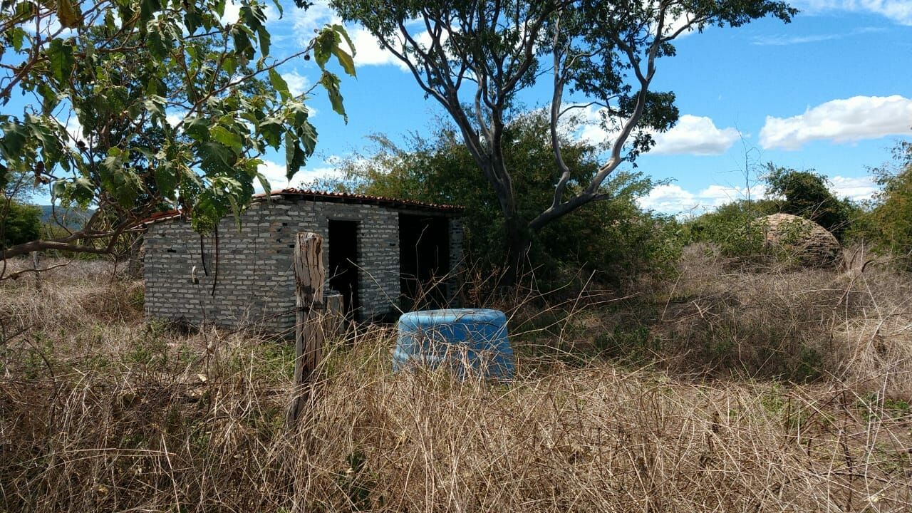 Fazenda de 137 ha em Ibotirama, BA