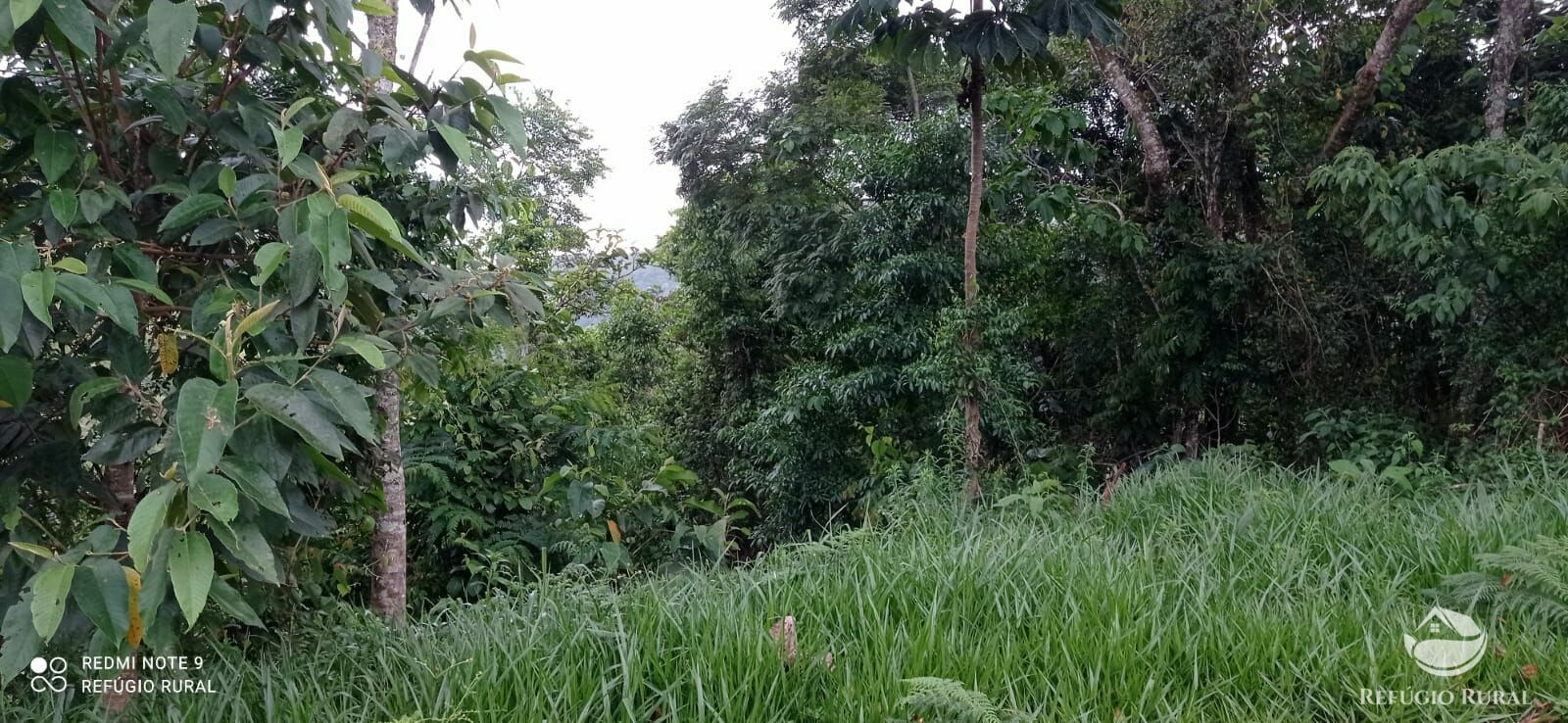 Terreno de 3 ha em São José dos Campos, SP