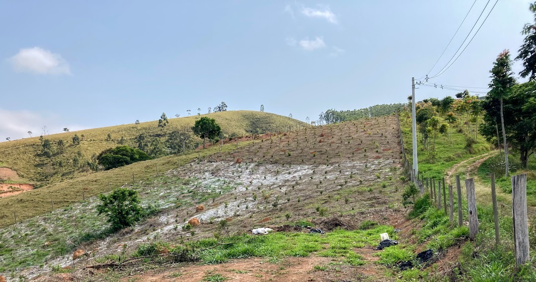 Chácara de 2 ha em Natividade da Serra, SP