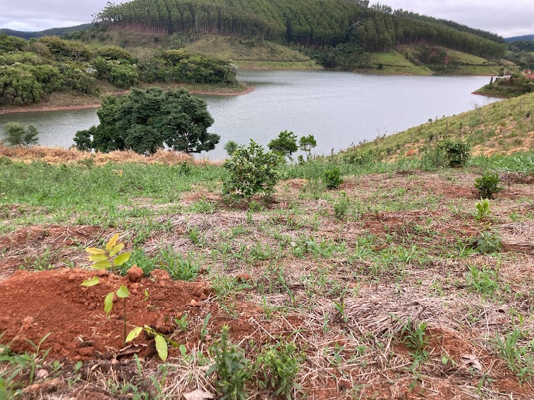 Chácara de 2 ha em Natividade da Serra, SP