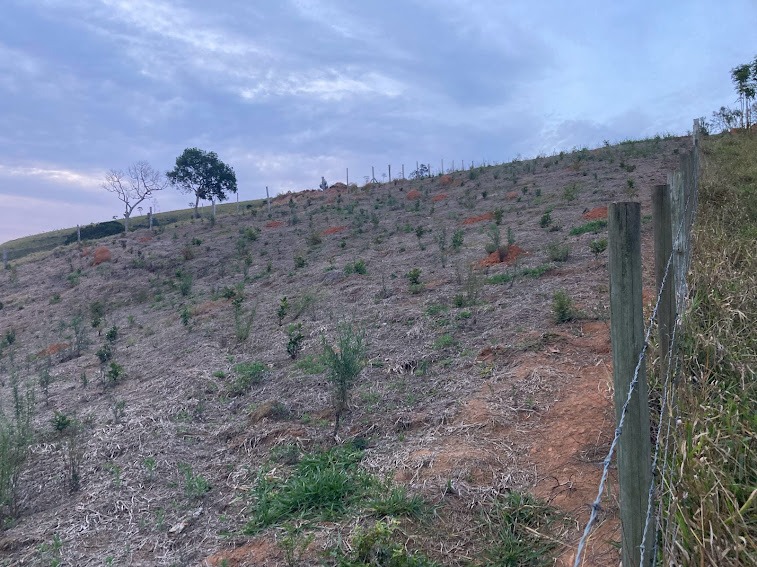 Chácara de 2 ha em Natividade da Serra, SP