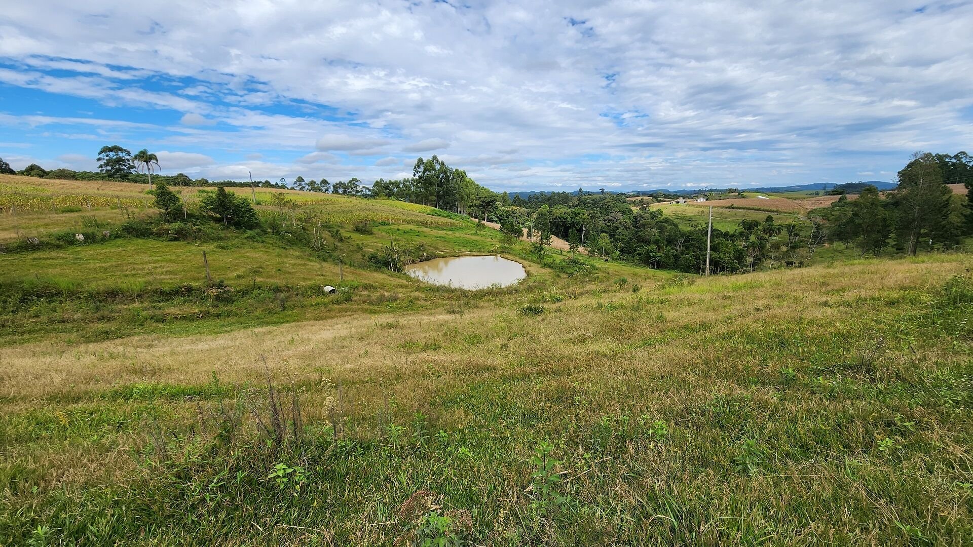 Terreno de 3 ha em Witmarsum, SC