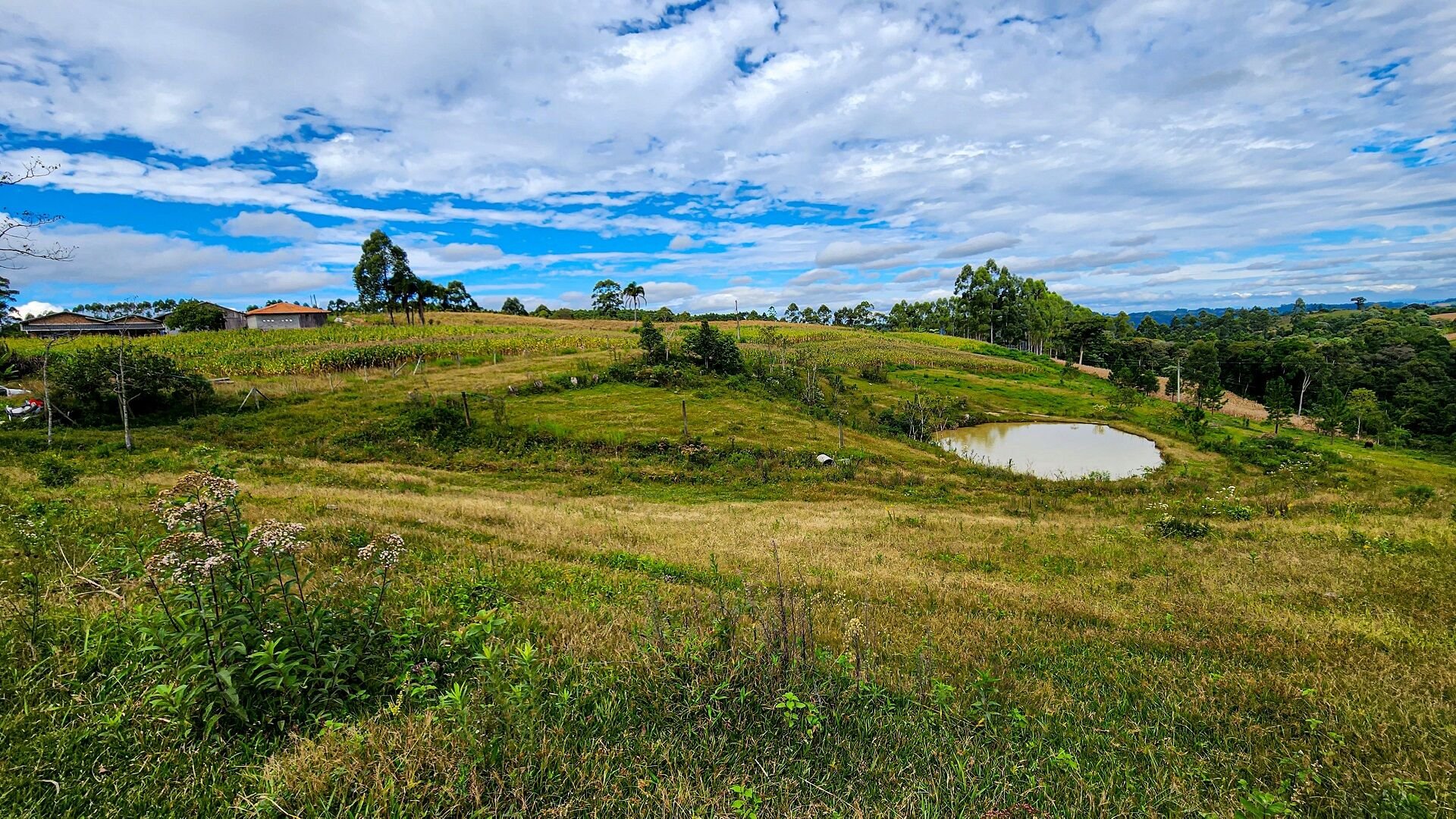 Terreno de 3 ha em Witmarsum, SC