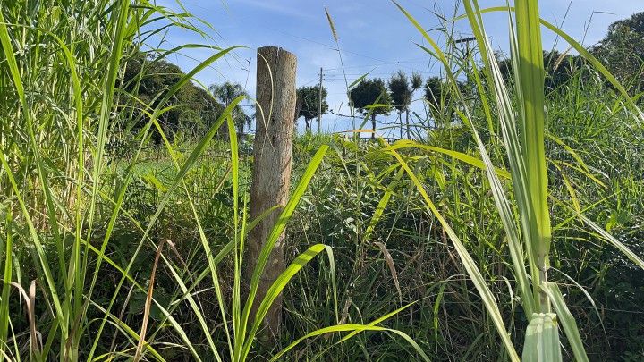 Chácara de 4.800 m² em Santo Antônio da Patrulha, RS