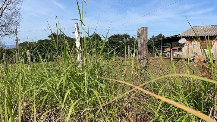 Chácara de 4.800 m² em Santo Antônio da Patrulha, RS