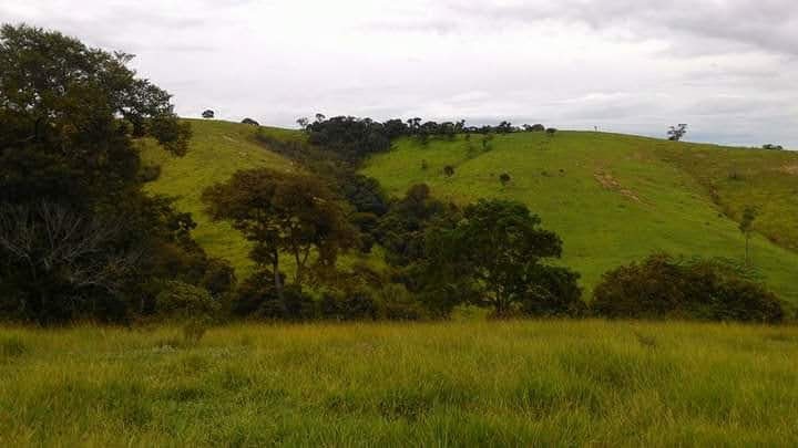 Fazenda de 73 ha em Lagoinha, SP