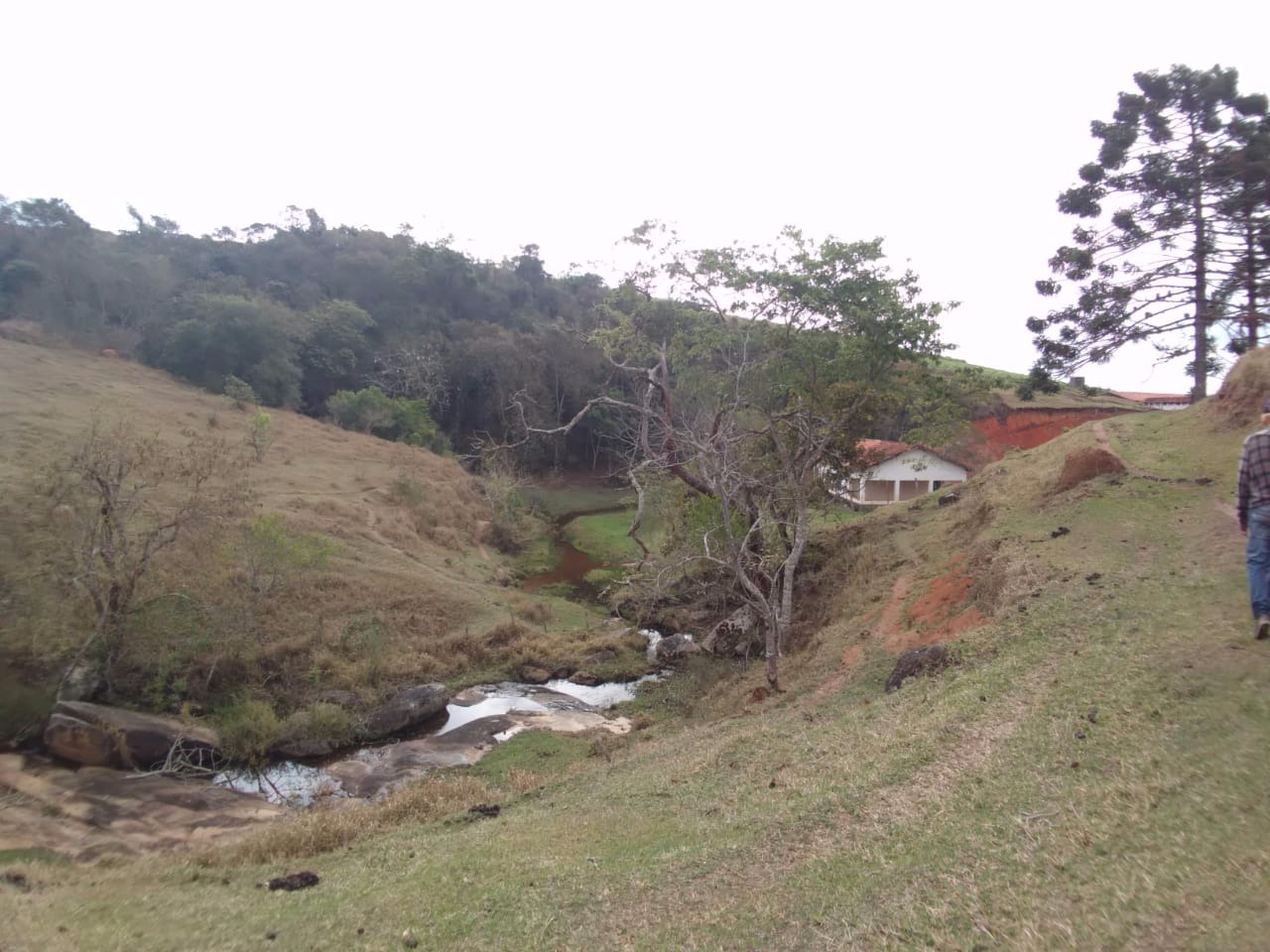 Fazenda de 73 ha em Lagoinha, SP