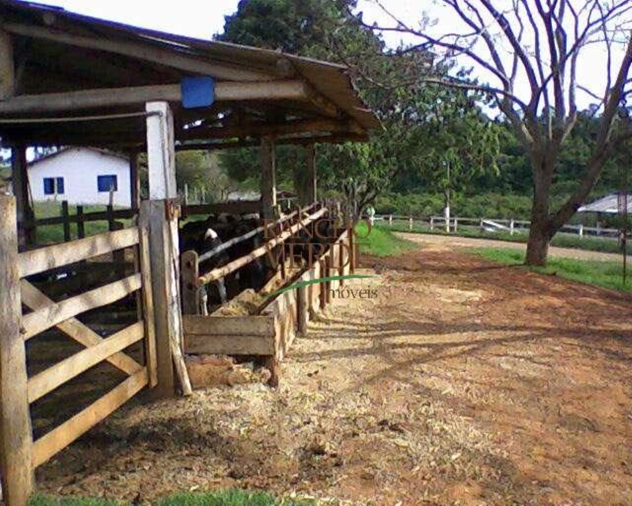 Fazenda de 660 ha em Cruzília, MG