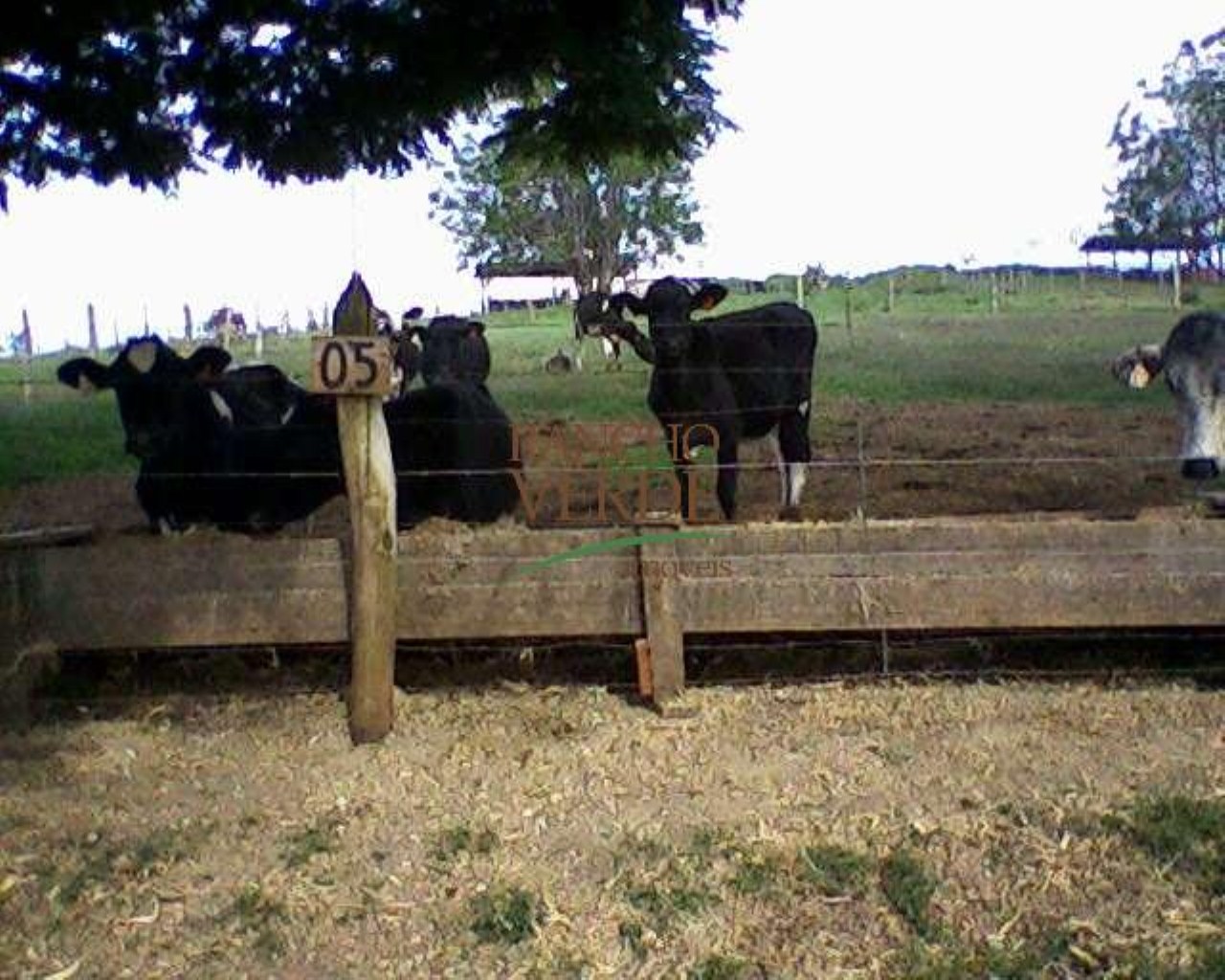 Fazenda de 660 ha em Cruzília, MG