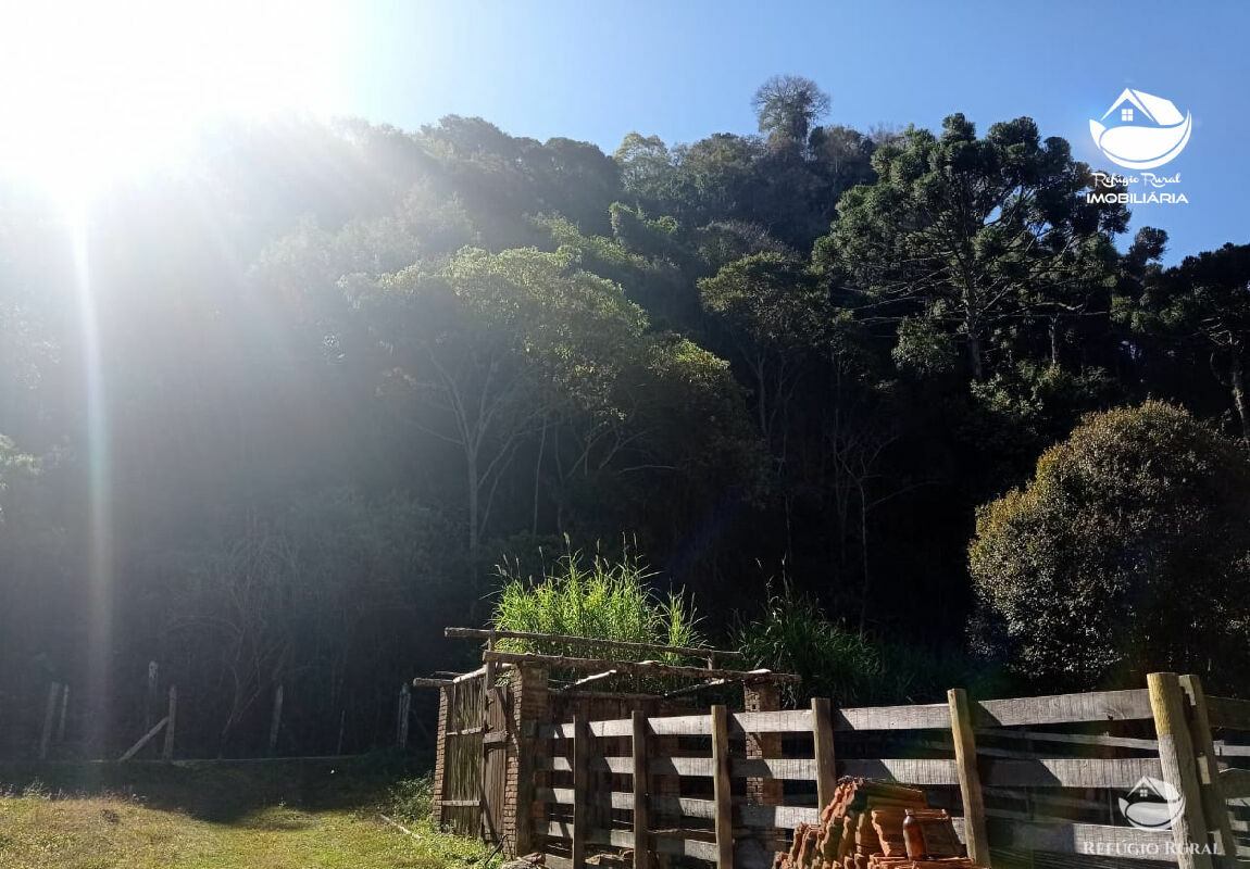 Terreno de 14 ha em São Bento do Sapucaí, SP