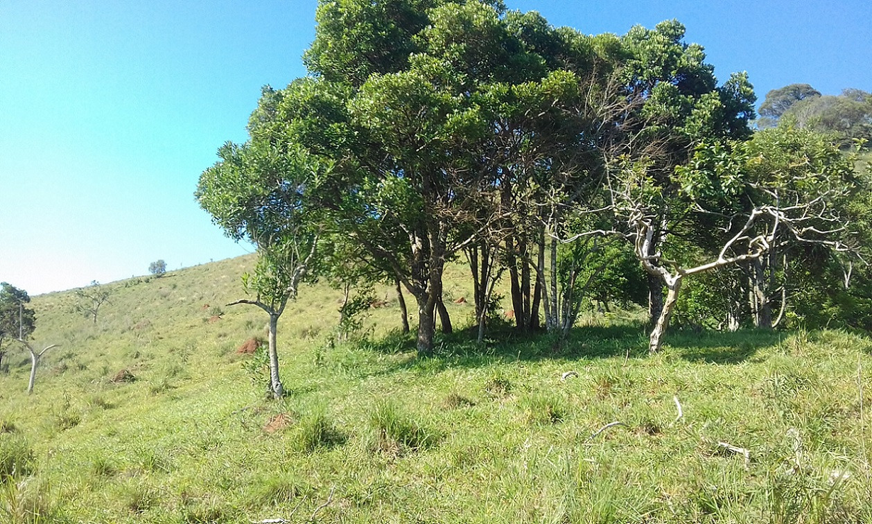 Terreno de 7 ha em Monteiro Lobato, SP