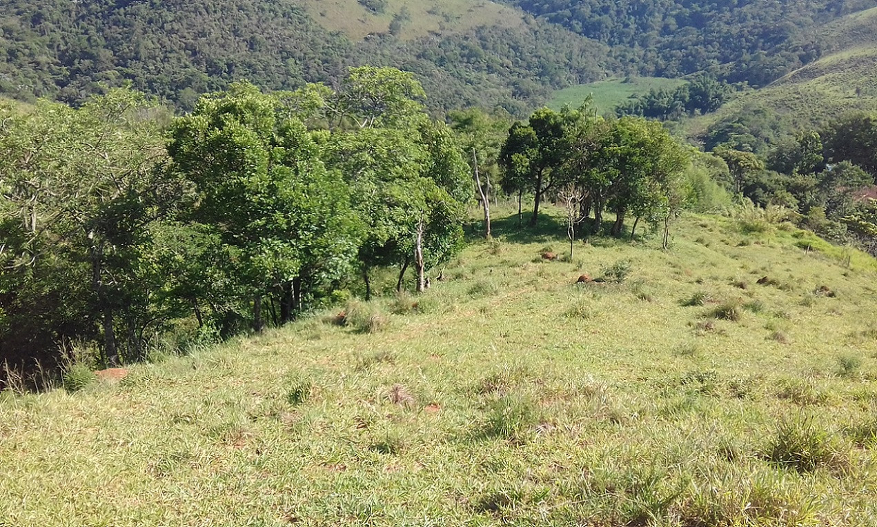 Terreno de 7 ha em Monteiro Lobato, SP