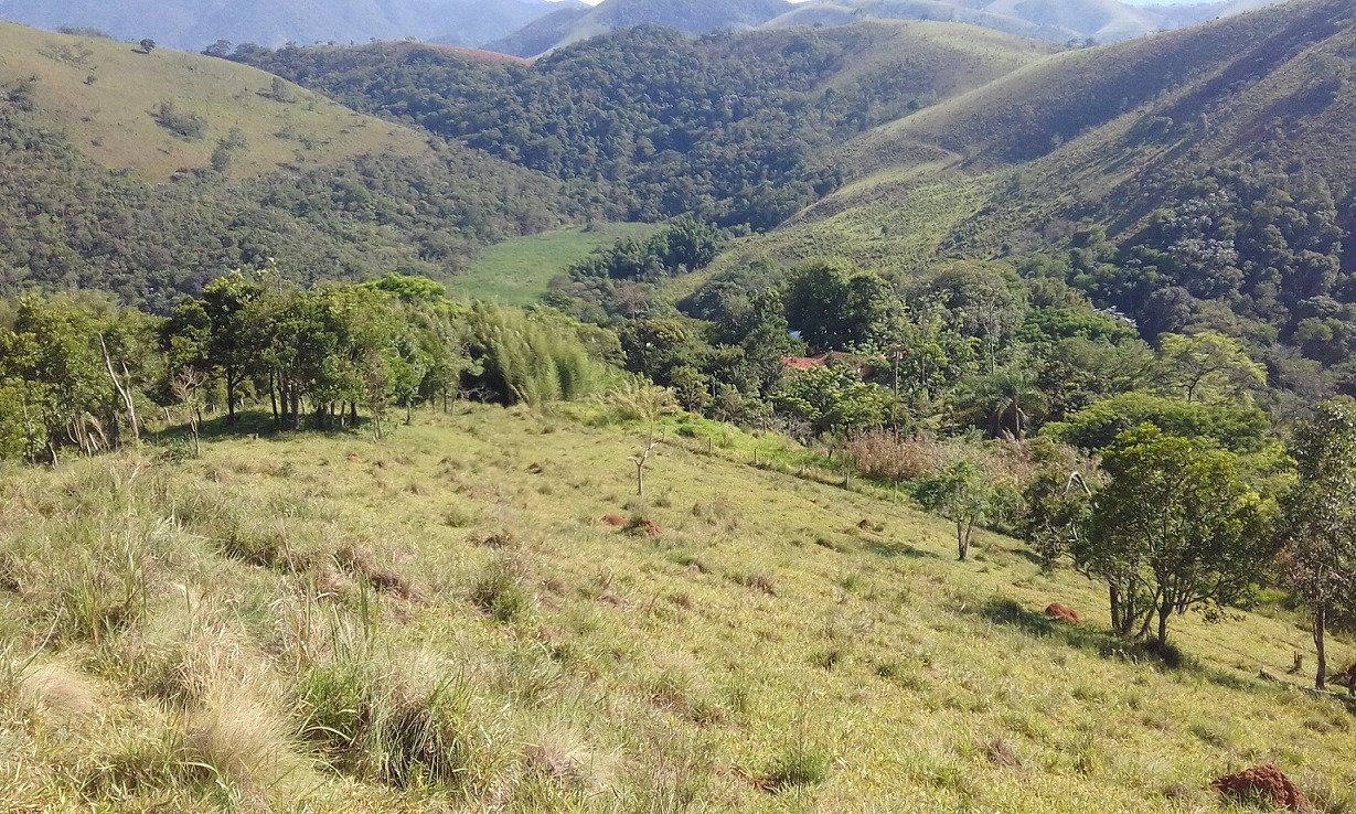 Terreno de 7 ha em Monteiro Lobato, SP