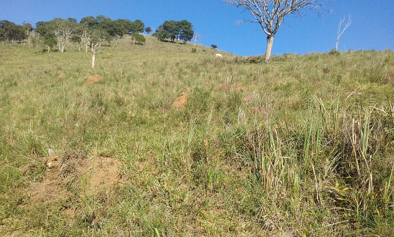 Terreno de 7 ha em Monteiro Lobato, SP