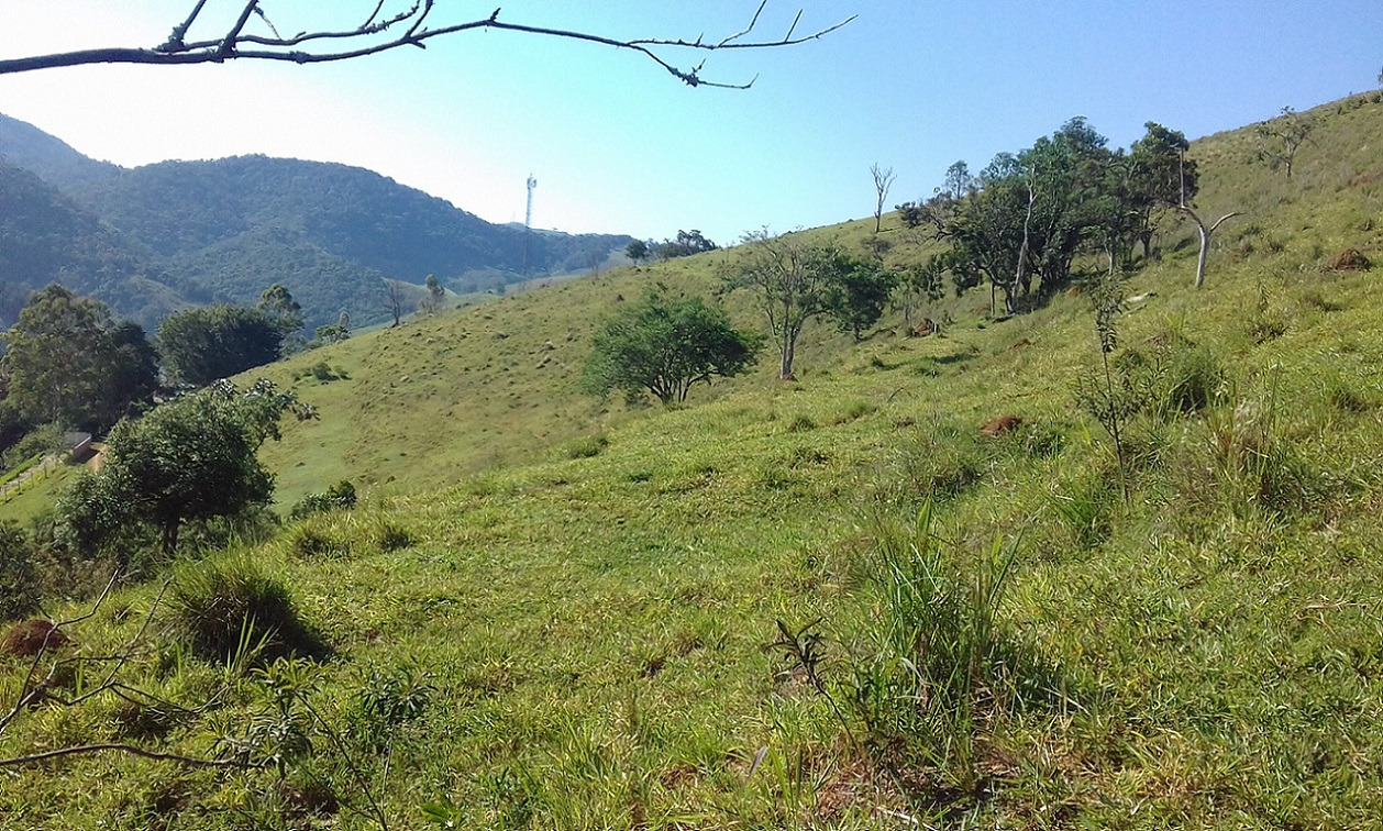 Terreno de 7 ha em Monteiro Lobato, SP