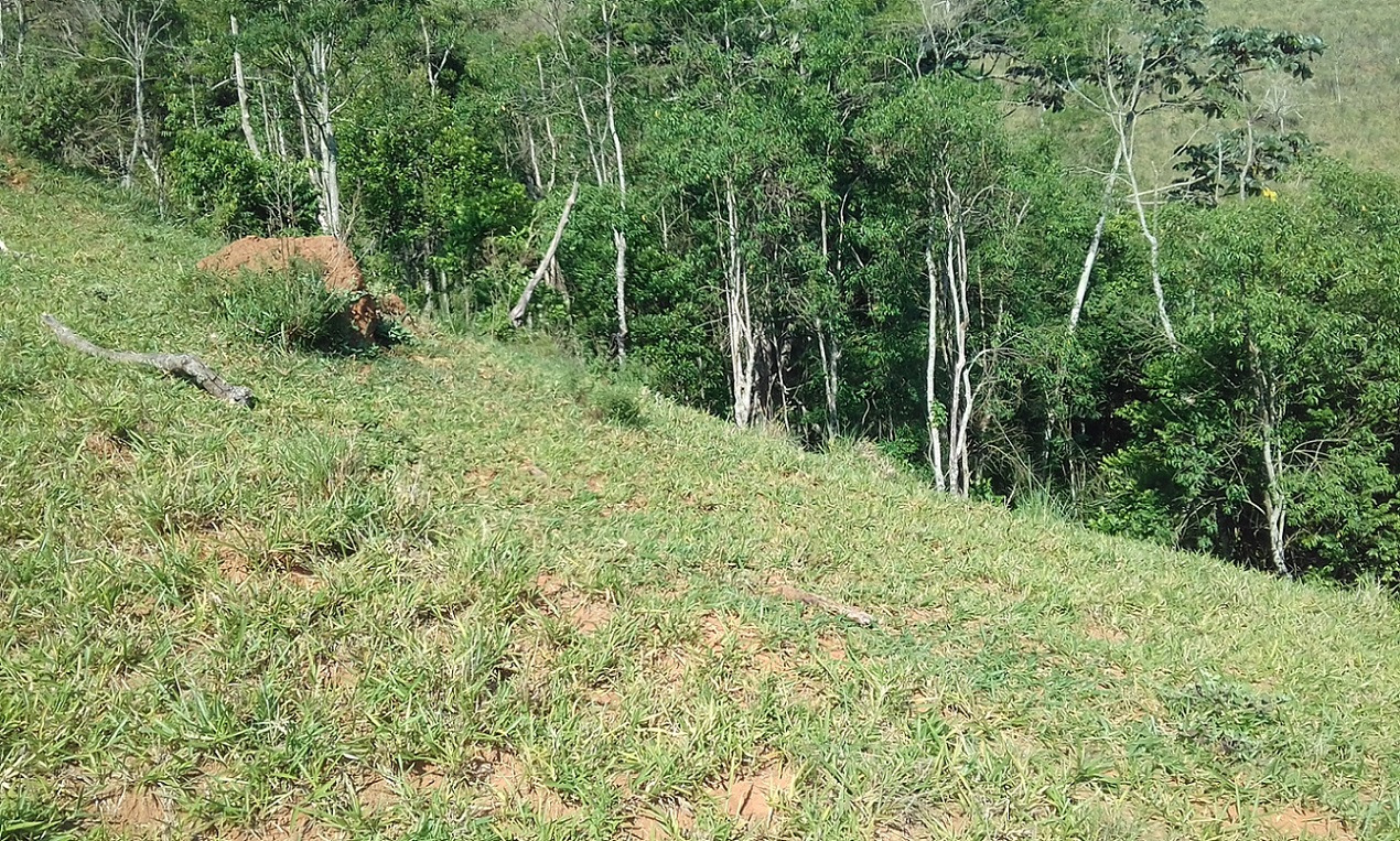 Terreno de 7 ha em Monteiro Lobato, SP