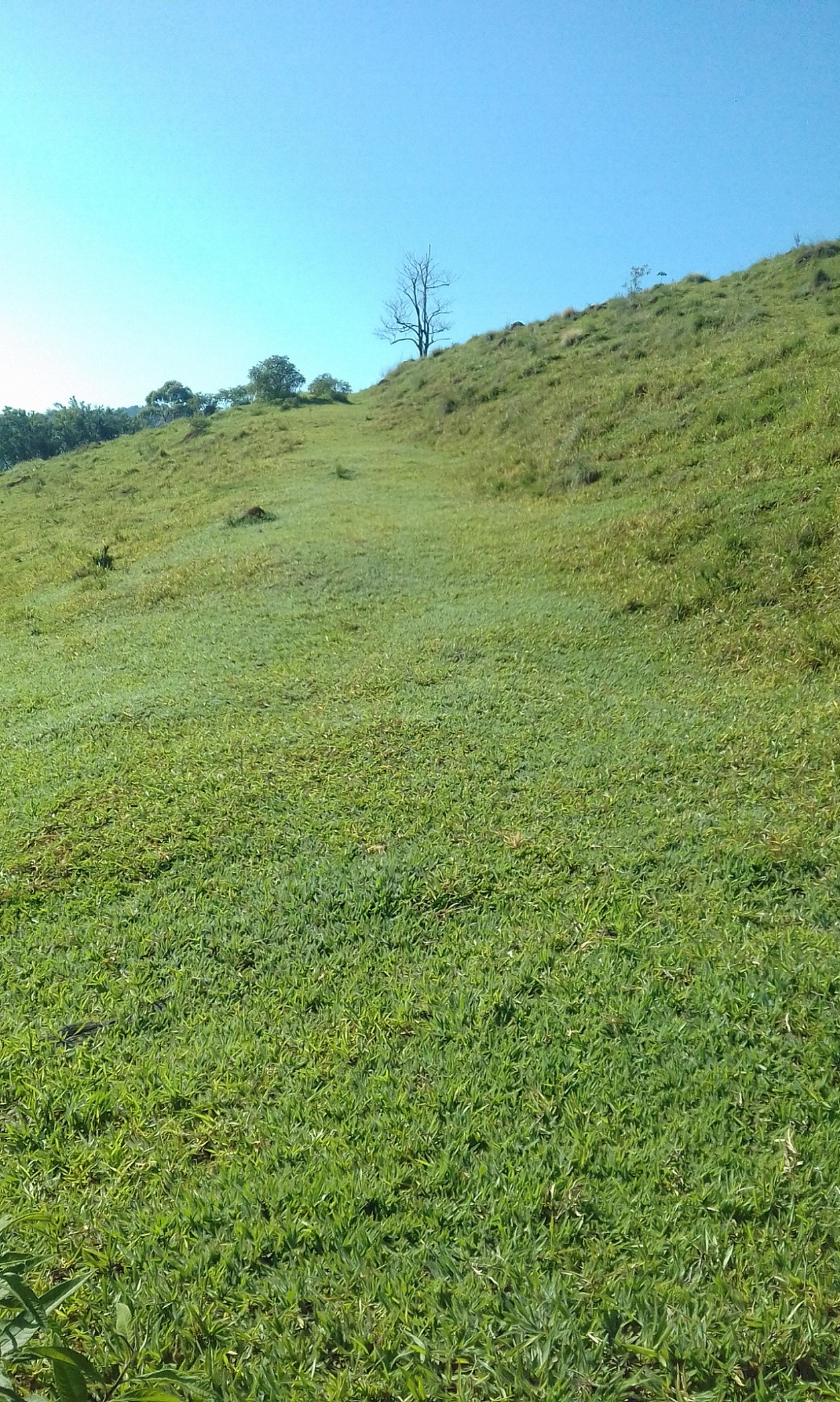 Terreno de 7 ha em Monteiro Lobato, SP