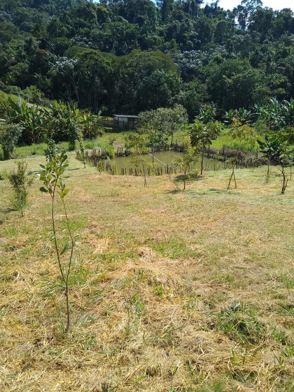 Chácara de 3.000 m² em Monteiro Lobato, SP