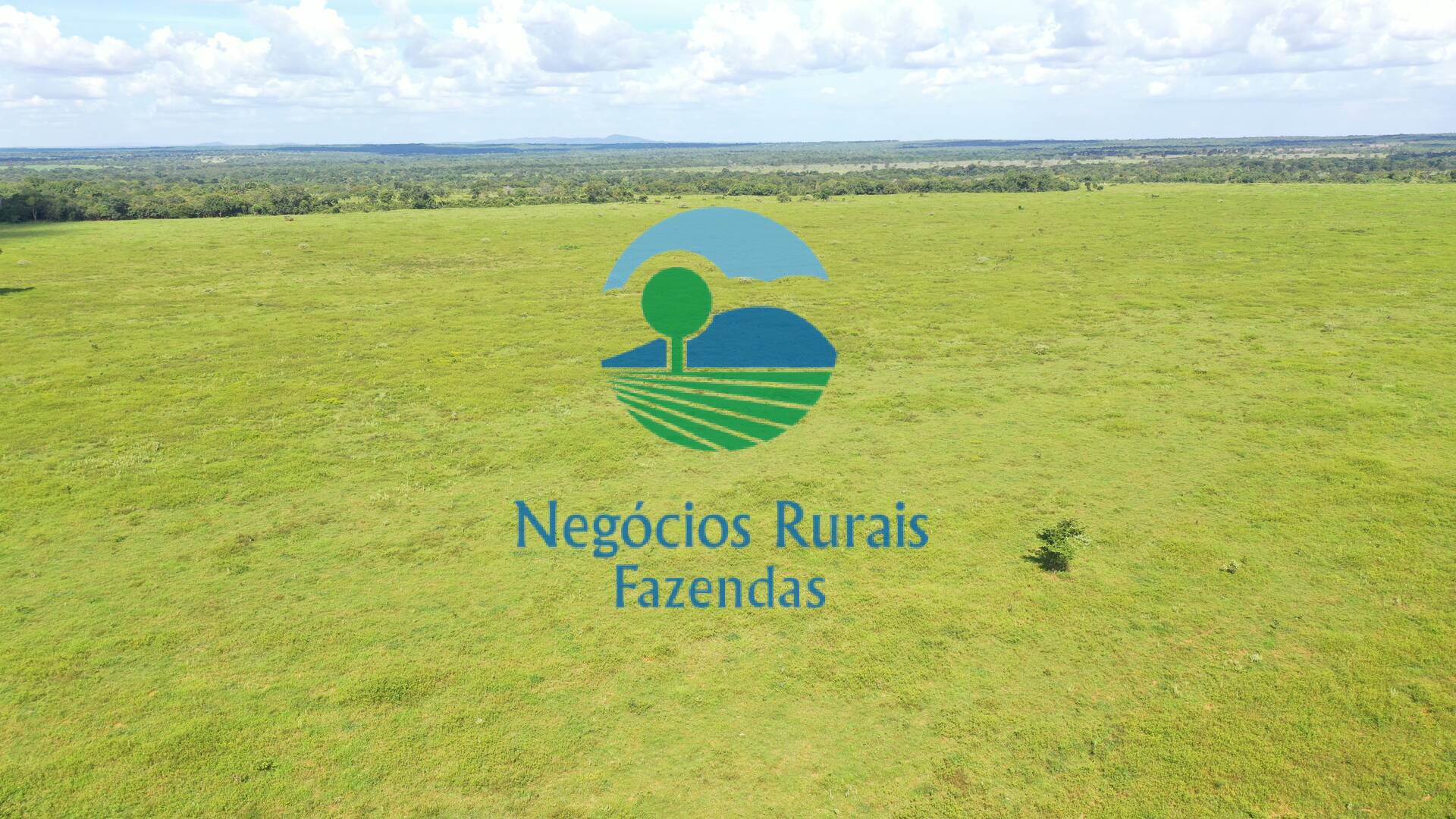 Fazenda de 464 ha em Novo Planalto, GO