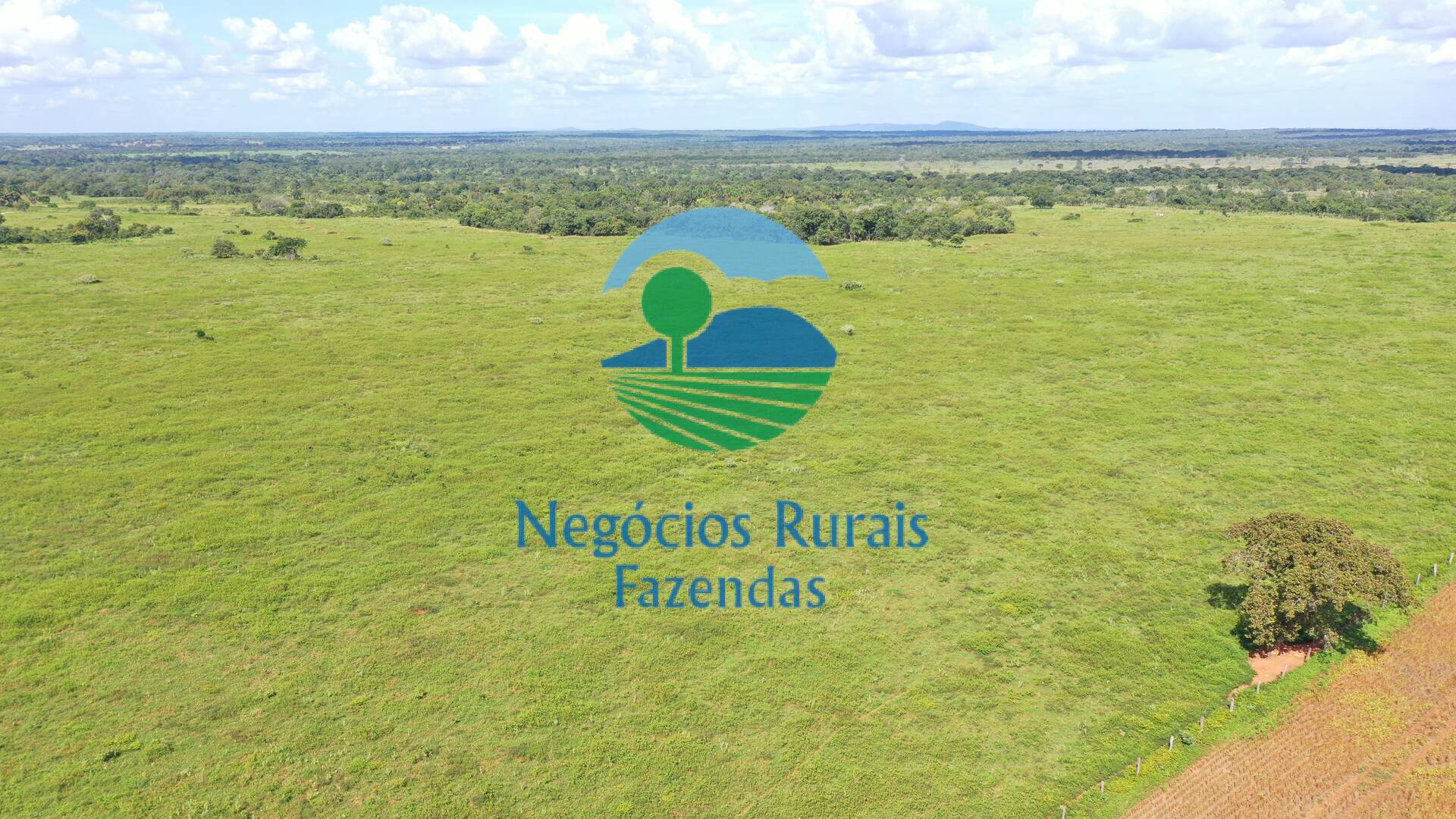 Fazenda de 464 ha em Novo Planalto, GO