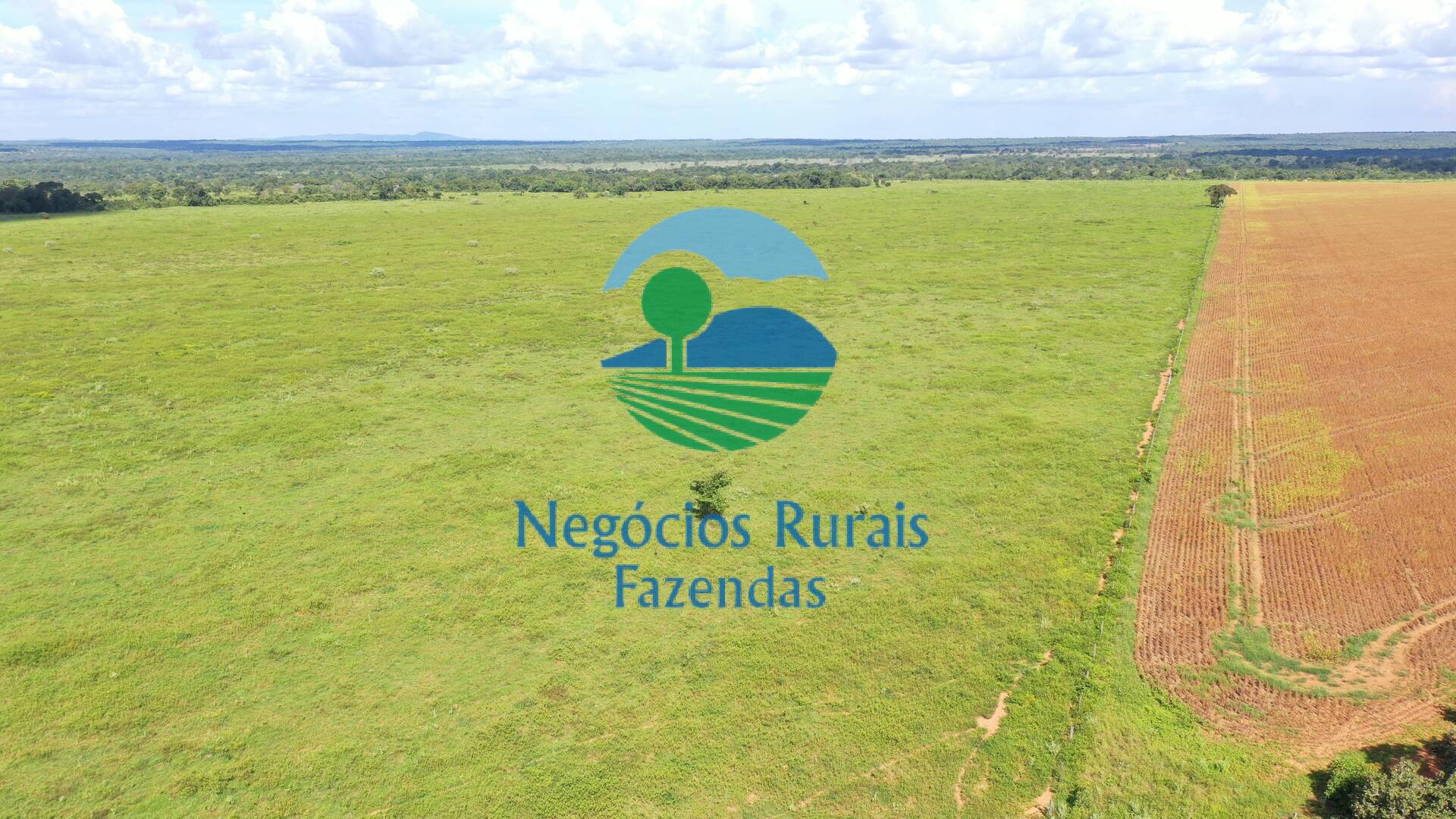 Fazenda de 464 ha em Novo Planalto, GO