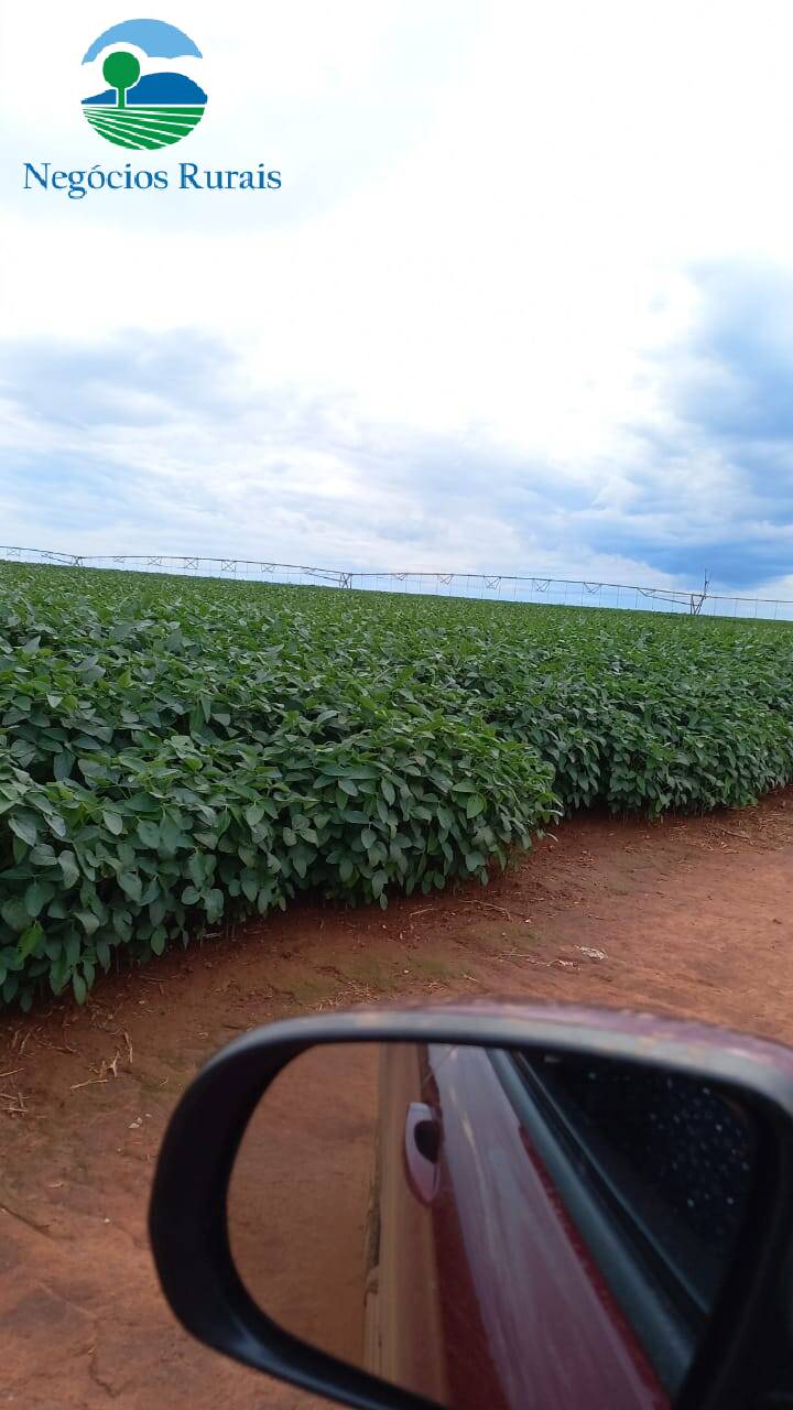 Fazenda de 242 ha em Goiânia, GO