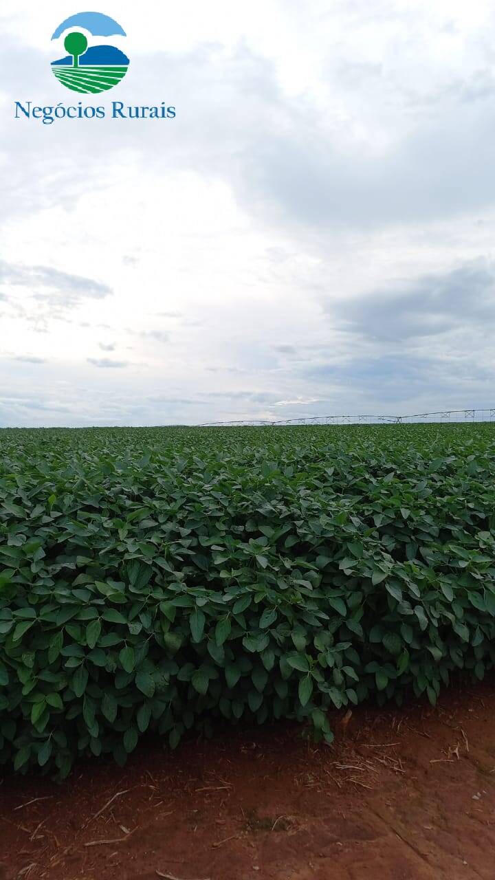 Fazenda de 242 ha em Goiânia, GO