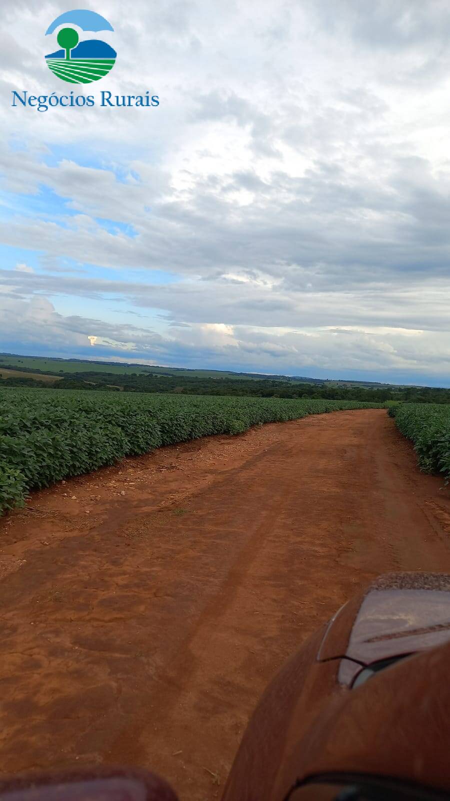 Fazenda de 242 ha em Goiânia, GO