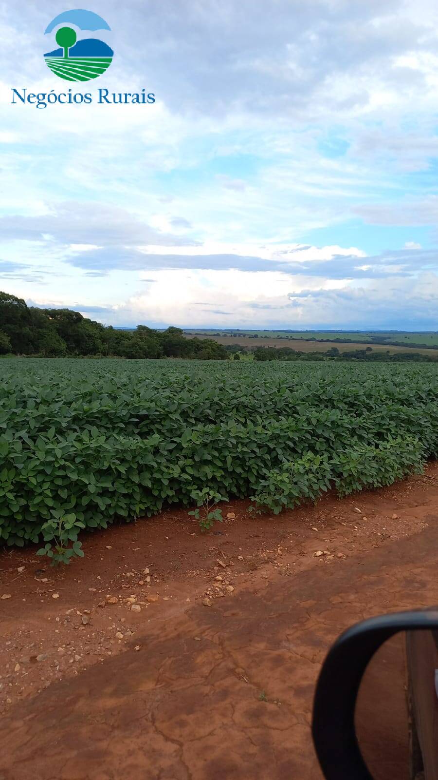 Fazenda de 242 ha em Goiânia, GO