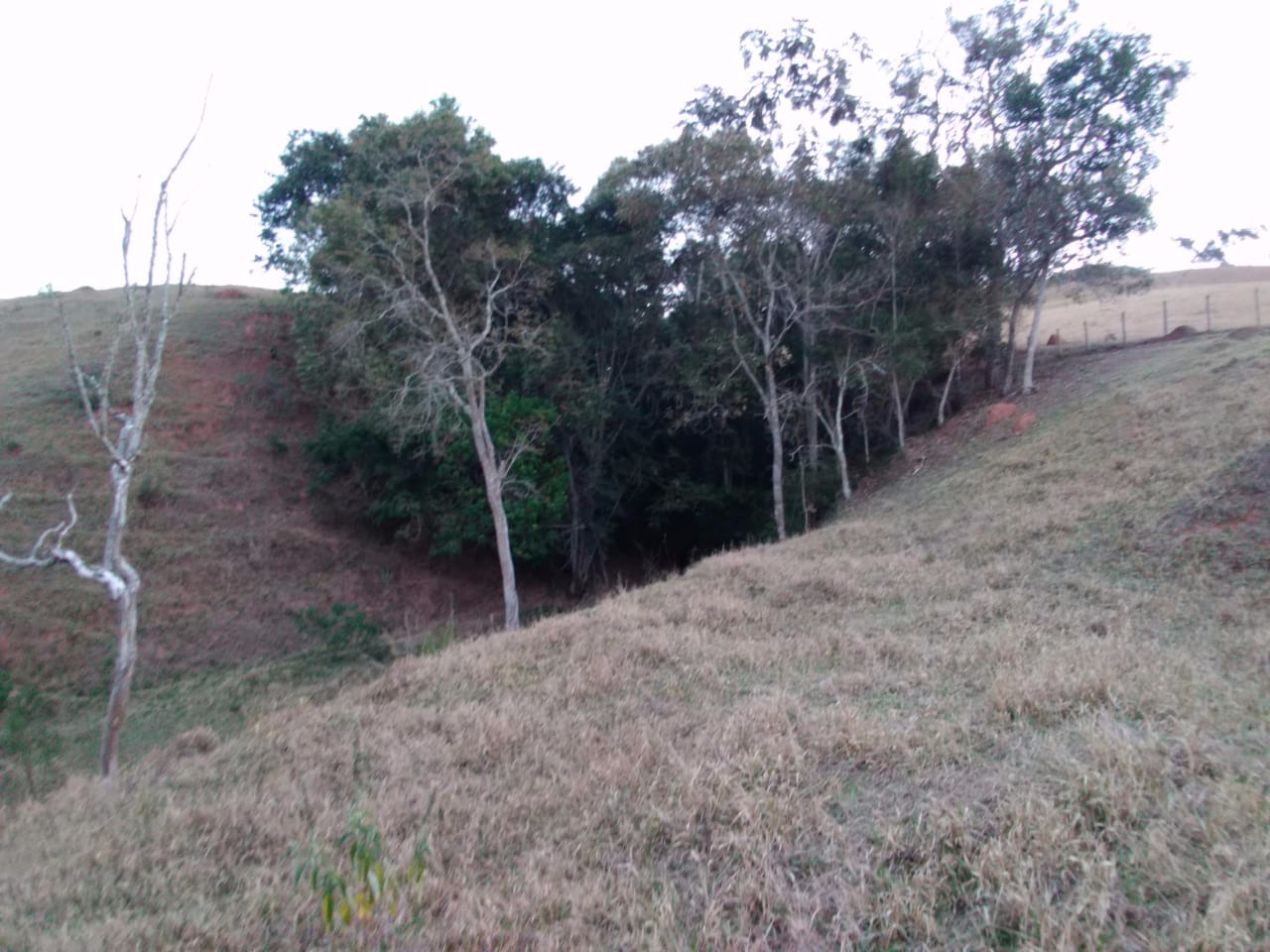 Terreno de 41 ha em Cunha, SP