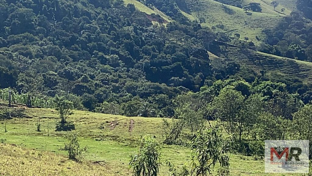 Terreno de 51 ha em Estiva, MG