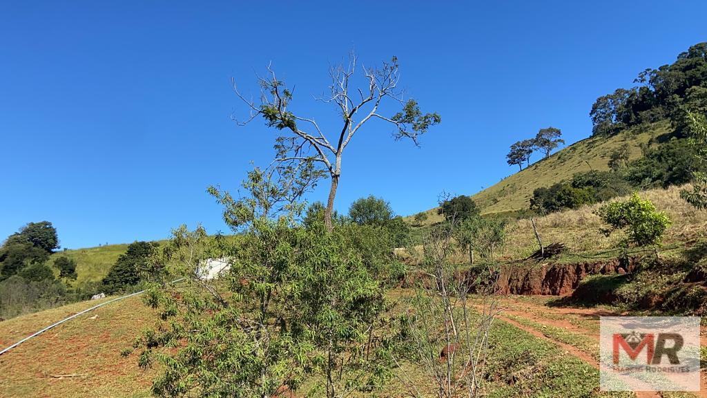 Terreno de 51 ha em Estiva, MG