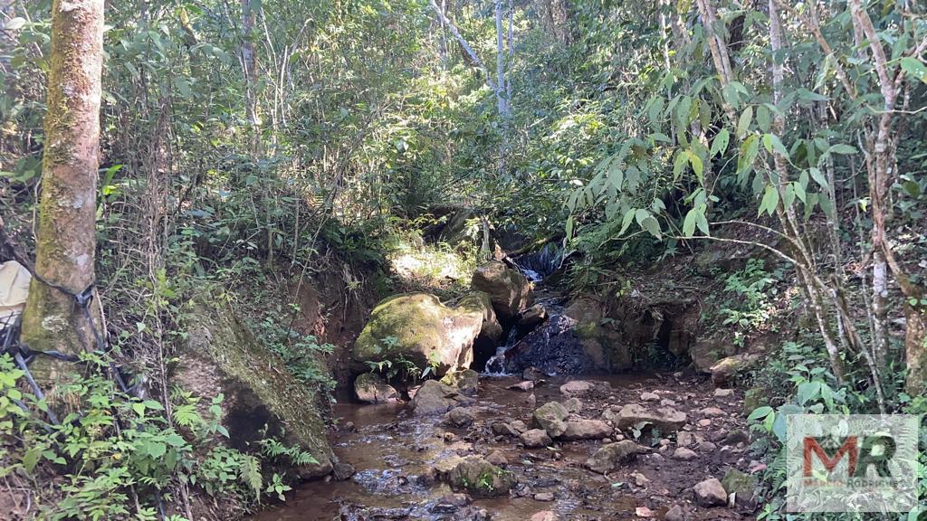 Terreno de 51 ha em Estiva, MG