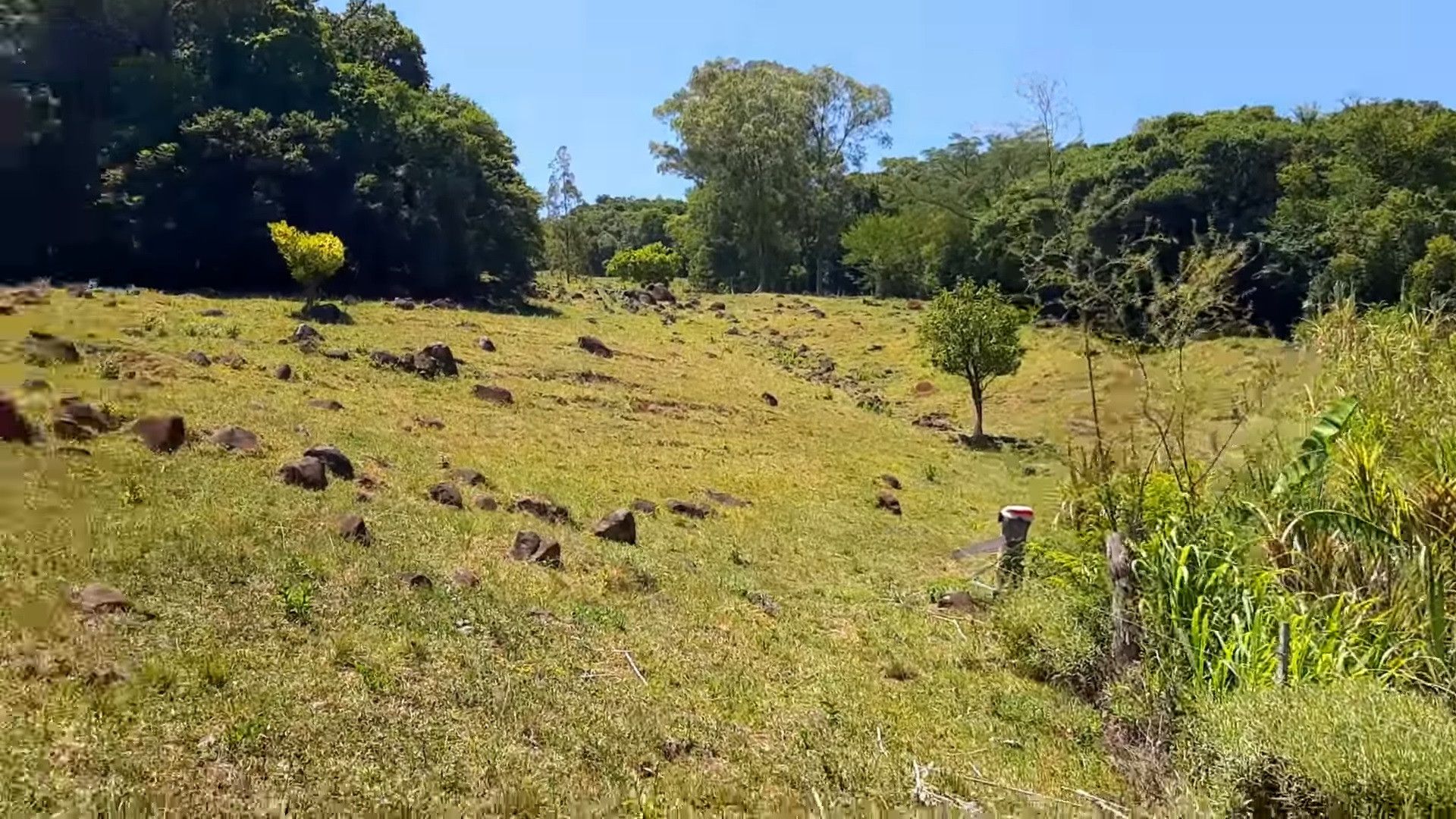 Terreno de 6 ha em Santo Antônio da Patrulha, RS