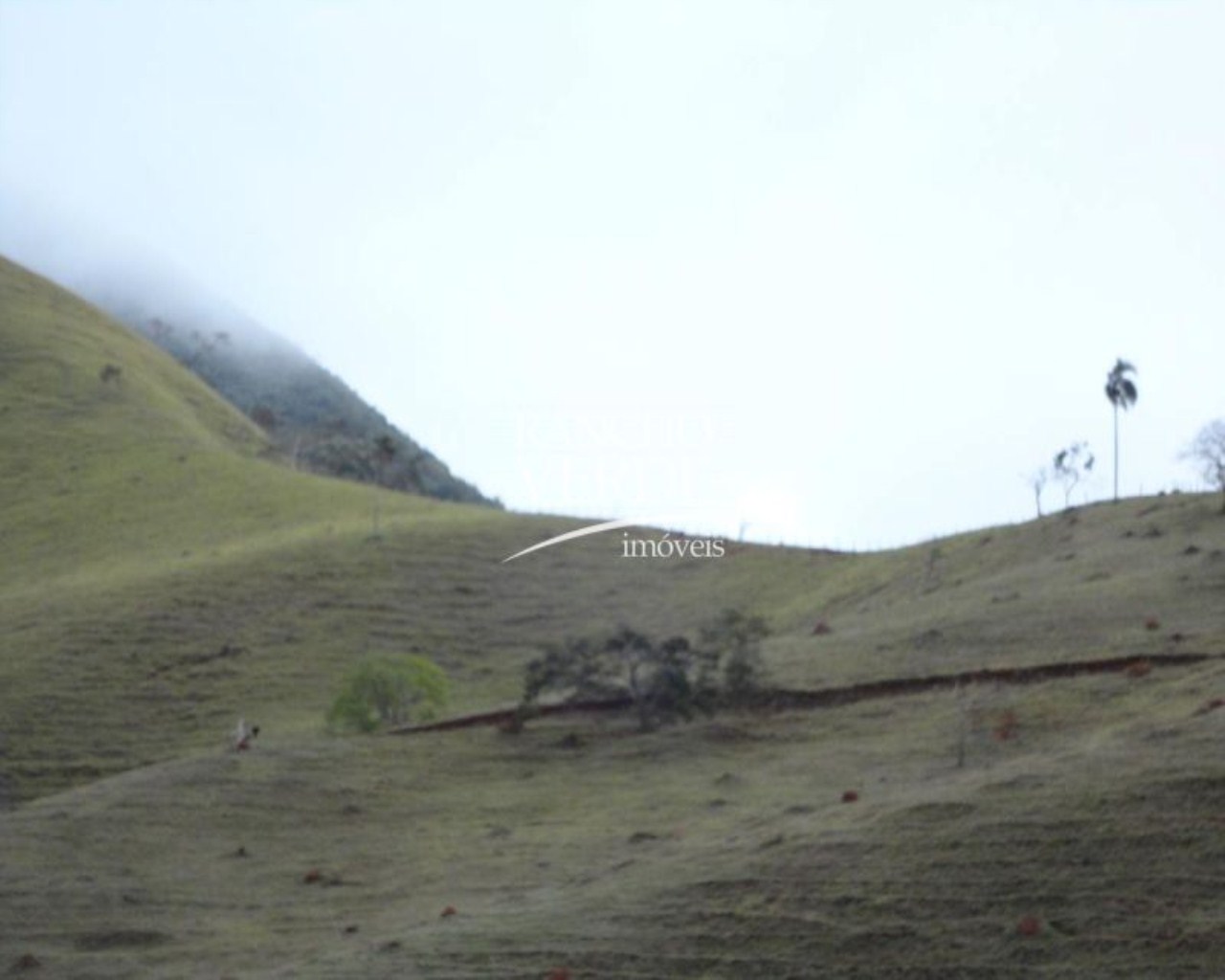 Fazenda de 121 ha em Taubaté, SP