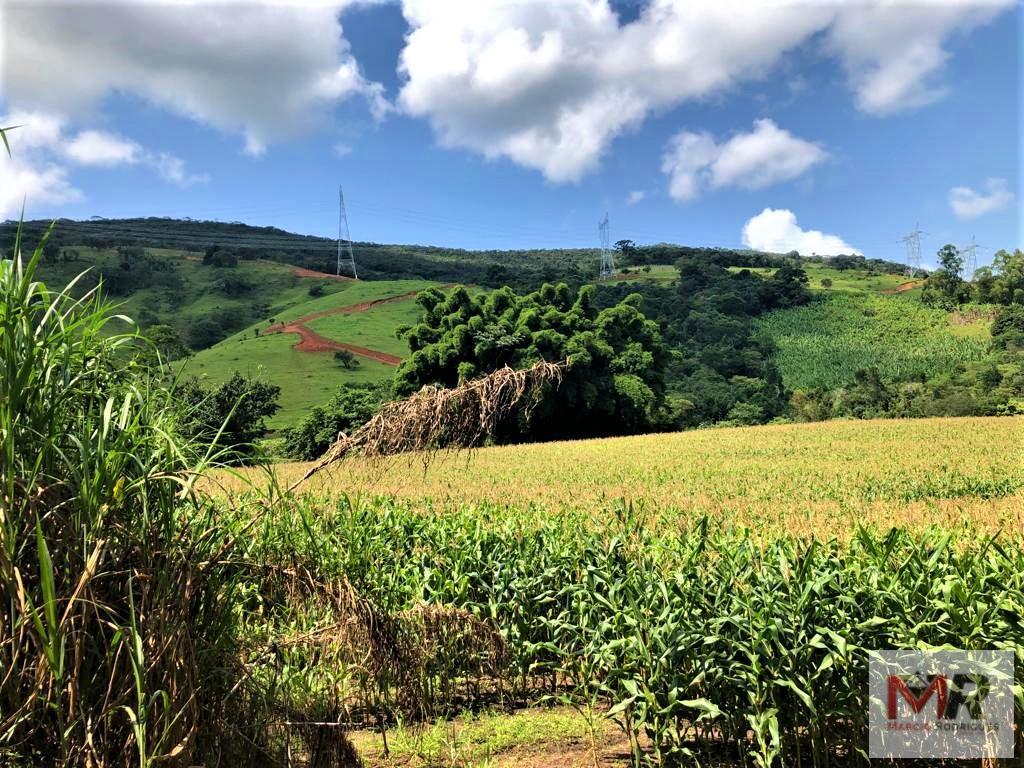 Fazenda de 134 ha em Espírito Santo do Dourado, MG