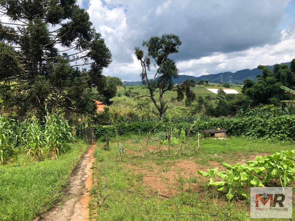 Fazenda de 134 ha em Espírito Santo do Dourado, MG