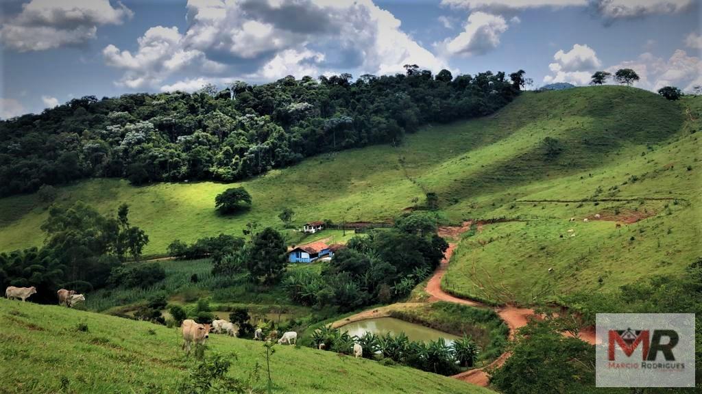 Fazenda de 134 ha em Espírito Santo do Dourado, MG