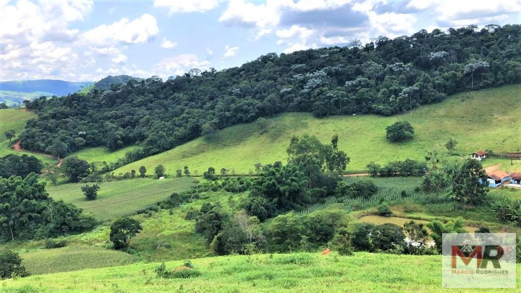 Fazenda de 134 ha em Espírito Santo do Dourado, MG