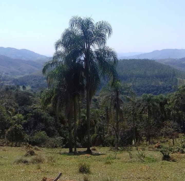 Terreno de 1 ha em São José dos Campos, SP