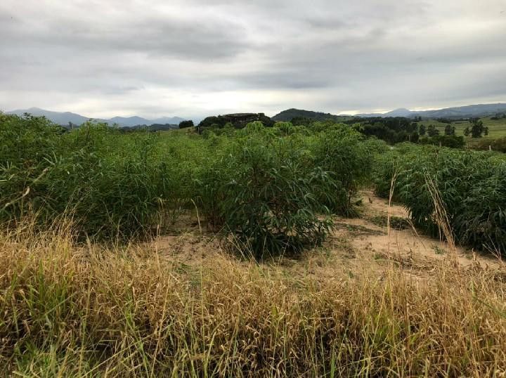 Sítio de 2 ha em Santo Antônio da Patrulha, RS